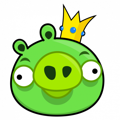 angry birds funny green pig face